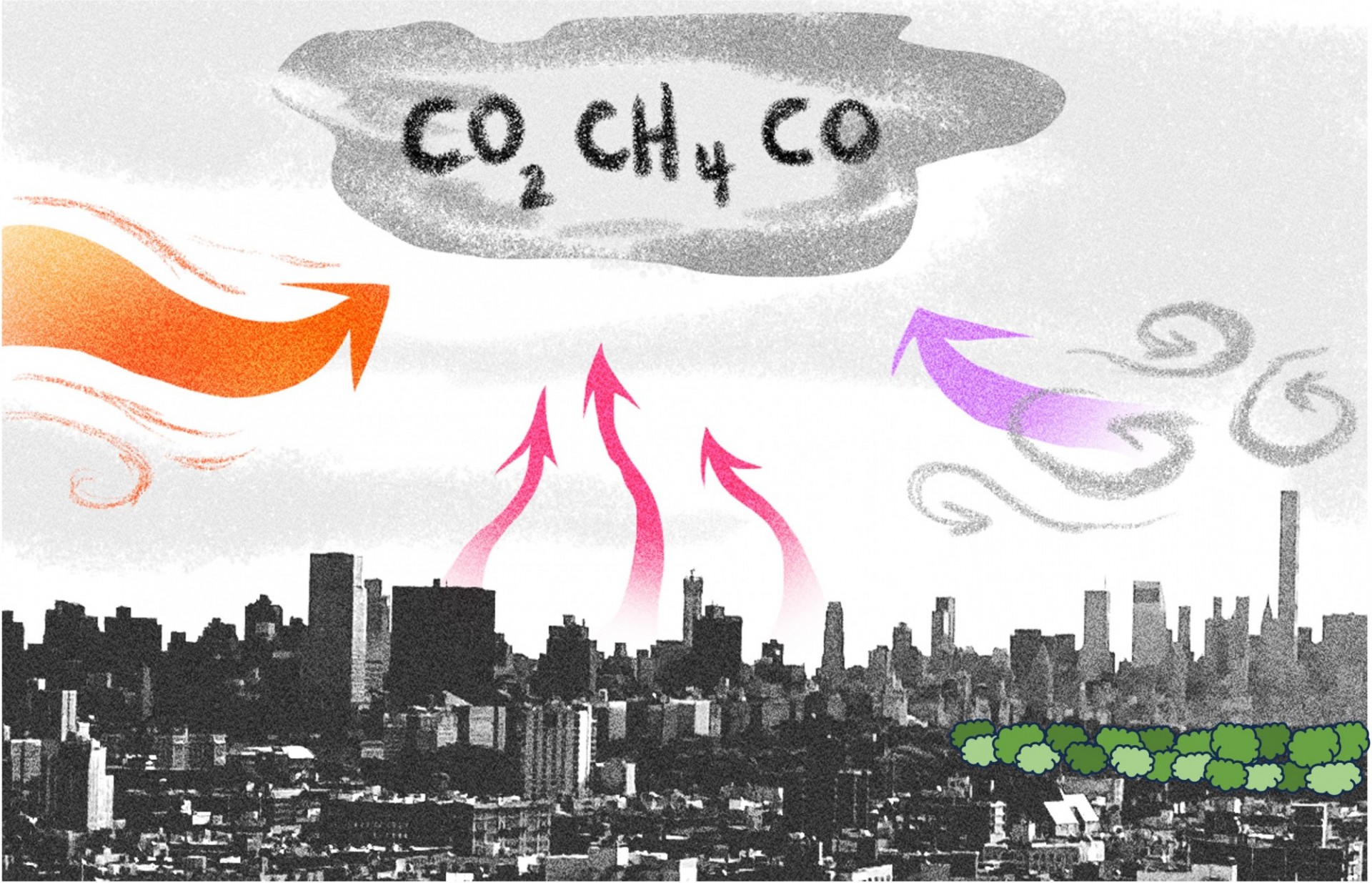 Concentrations of greenhouse gases in cities are controlled by transport into the area, local emissions and meteorology